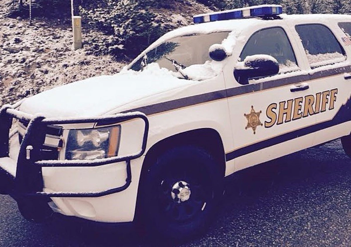 Gallatin County Montana Sheriff Patrol Car Decals 1:24